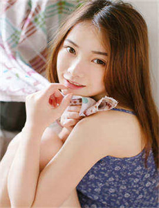 美国派4